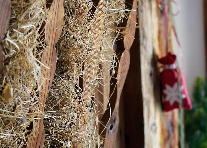 Alpvita Piz Tasna فندق ايشجل