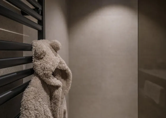 فندق Alpvita Piz Tasna 4*